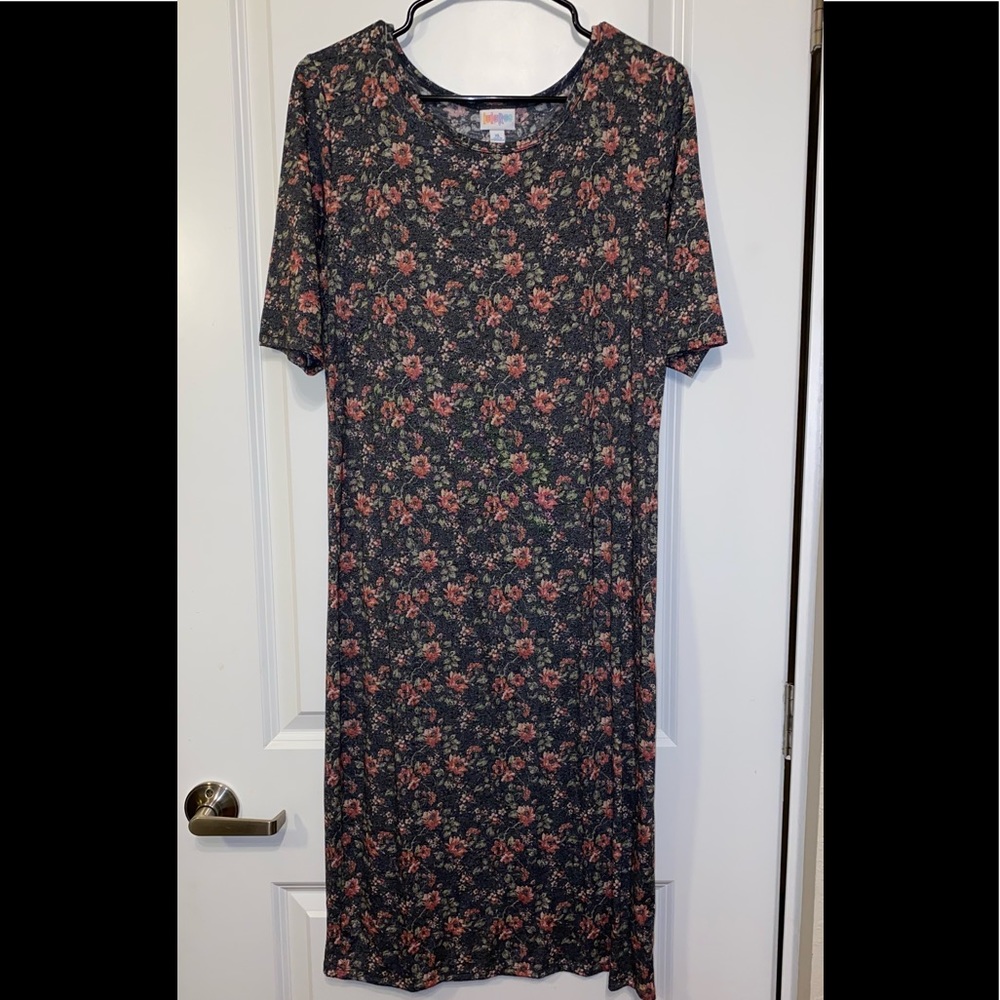 NWOT LuLaRoe Julia Dress